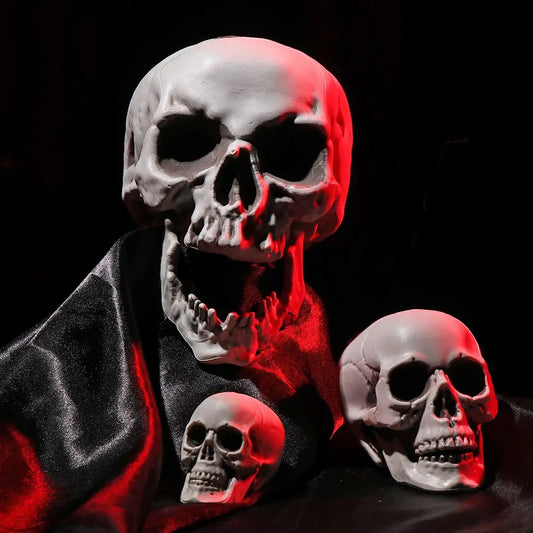 Plastic Human Skull Head – Halloween Style Photo Prop & Party Decor